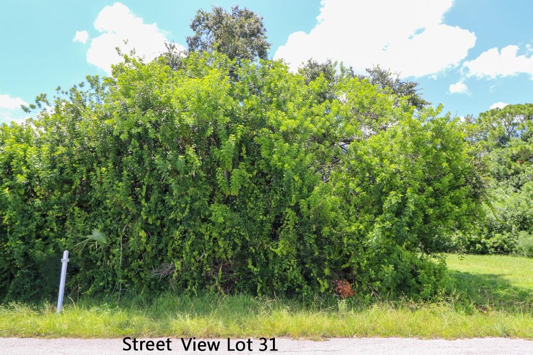LOT 31 VENETIA AVE, NORTH PORT, FL, 34287