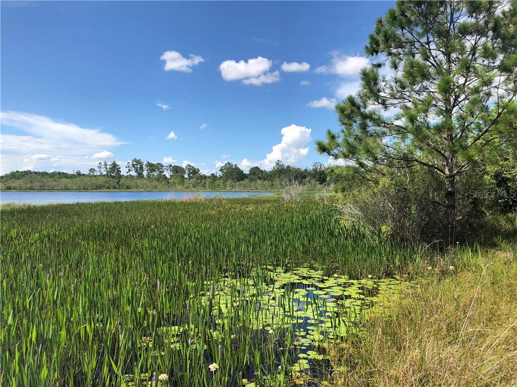 13780 AVALON RD, WINTER GARDEN, FL, 34787