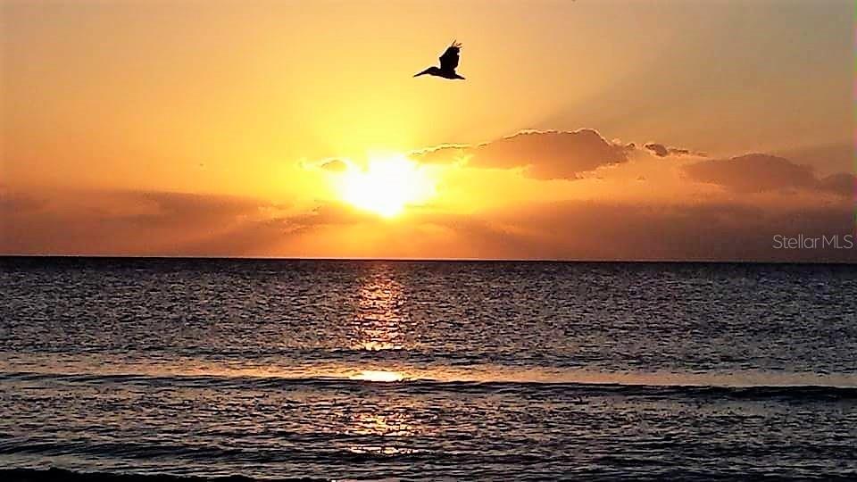 1730 MANASOTA BEACH RD #115, ENGLEWOOD, FL, 34223