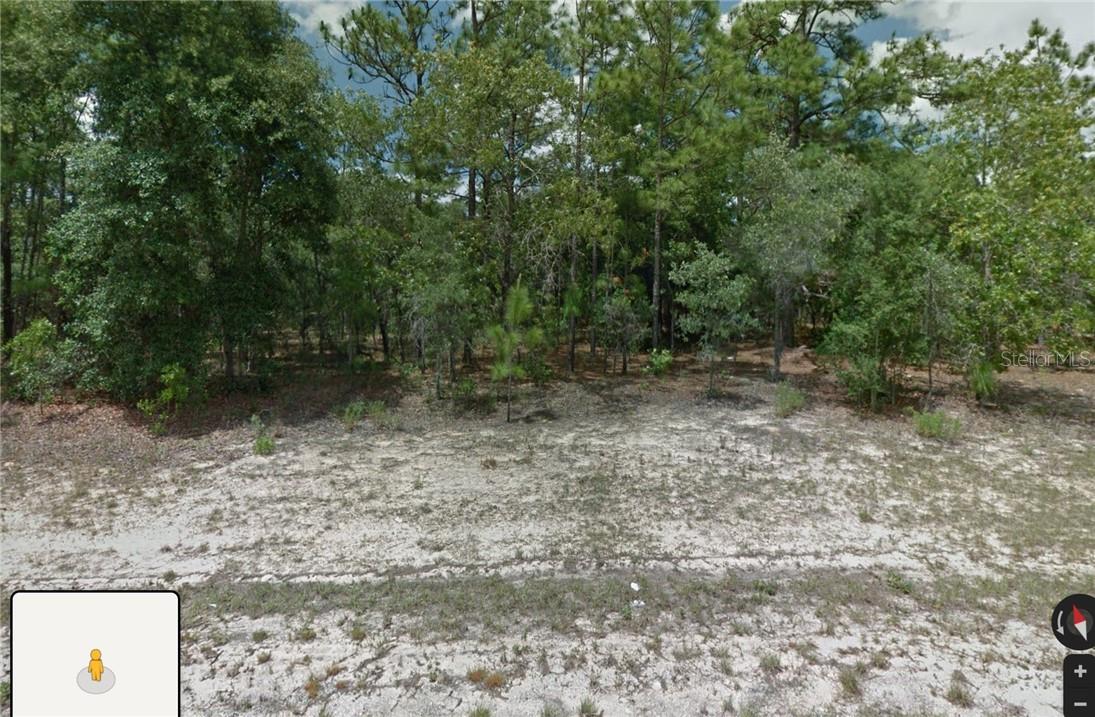 1581 W THUMPER DR, CITRUS SPRINGS, FL, 34434