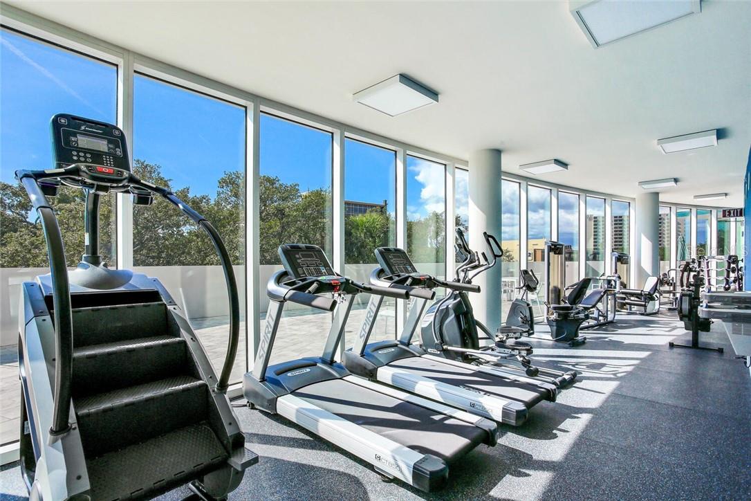 2900 BAY TO BAY BLVD #1502, TAMPA, FL, 33629