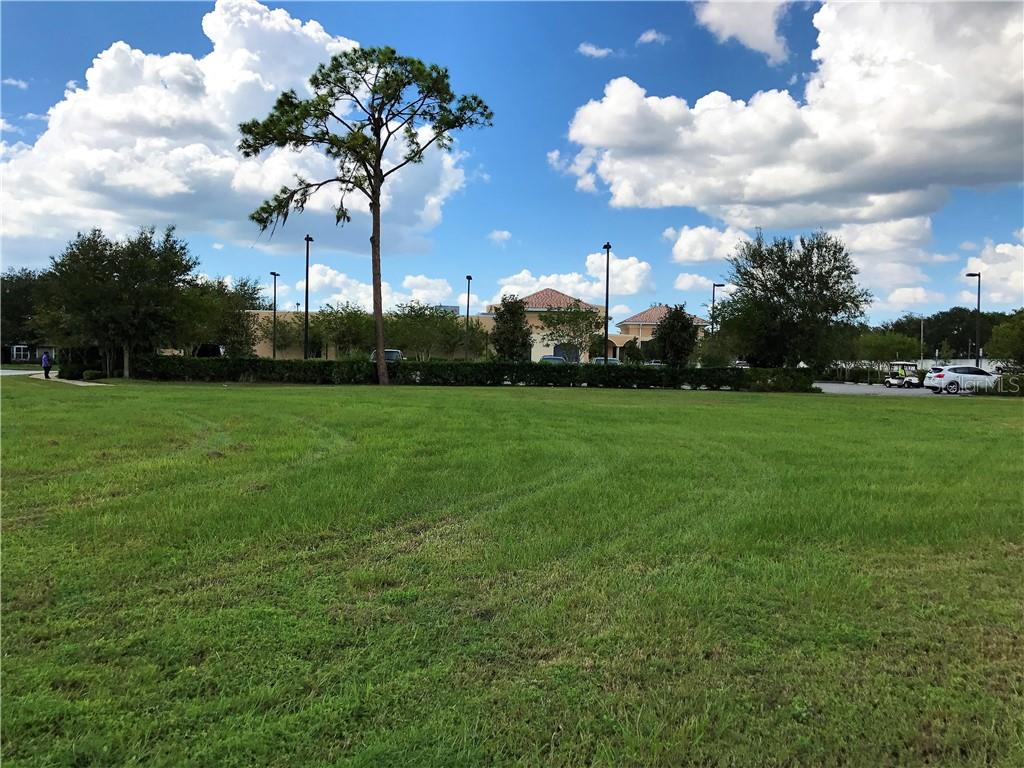 2000 VINDALE RD  & US HWY 441, TAVARES, FL, 32778