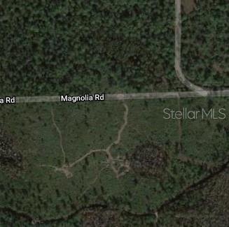 MAGNOLIA RD, NEW SMYRNA BEACH, FL, 32168