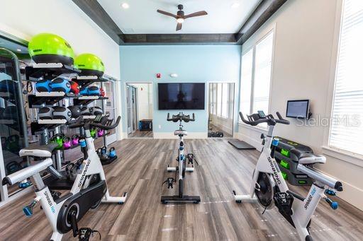 5561 POST OAK BLVD #A2, WESLEY CHAPEL, FL, 33544