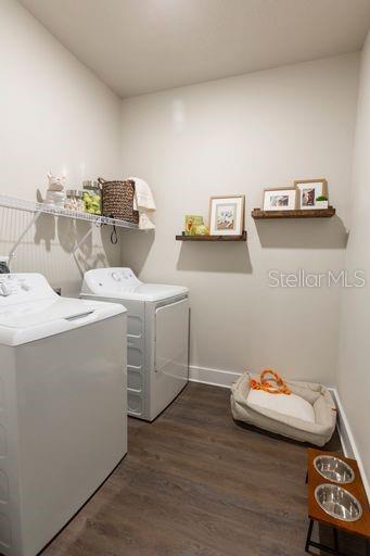5561 POST OAK BLVD #B2S, WESLEY CHAPEL, FL, 33544