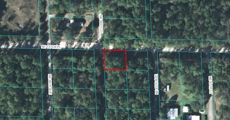 00 NE 66TH CT, CITRA, FL, 32113