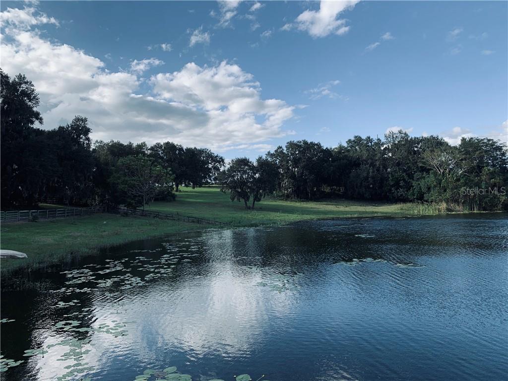 TBD LAKE BURNS RD, UMATILLA, FL, 32784