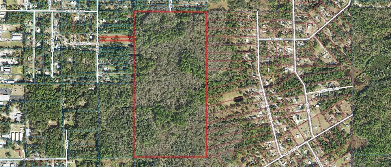 1500 S CANDLENUT & 1627 S PALM AVE, HOMOSASSA, FL, 34448