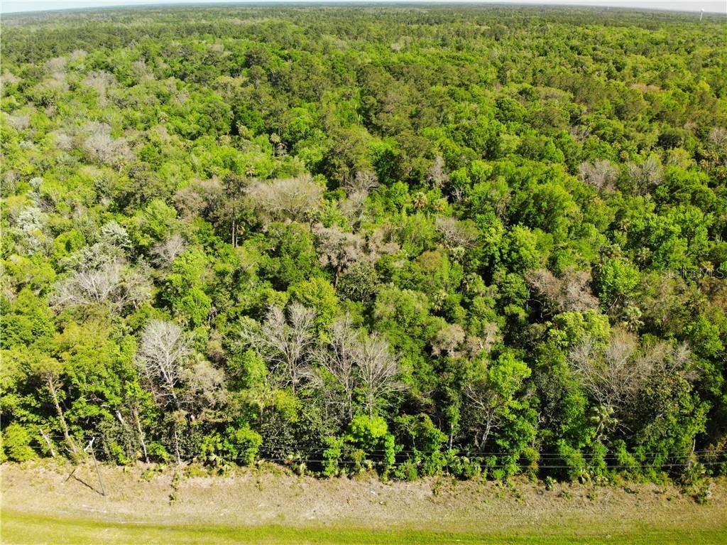 US HWY 19, INGLIS, FL, 34449