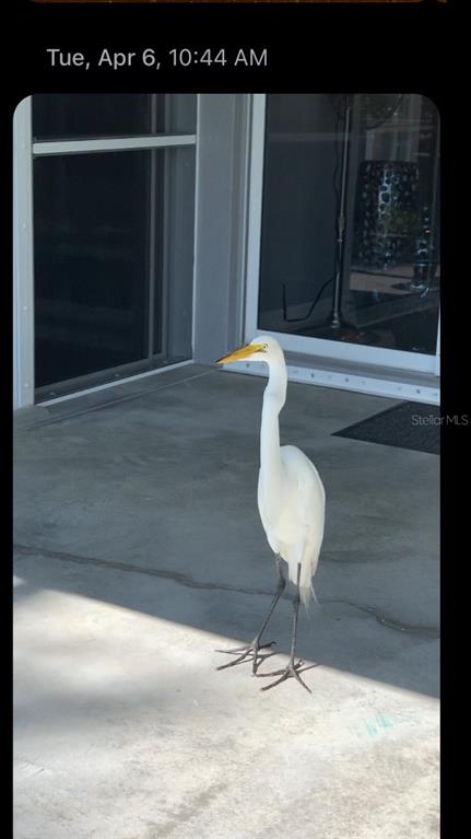 18289 WOLBRETTE CIR, PORT CHARLOTTE, FL, 33948