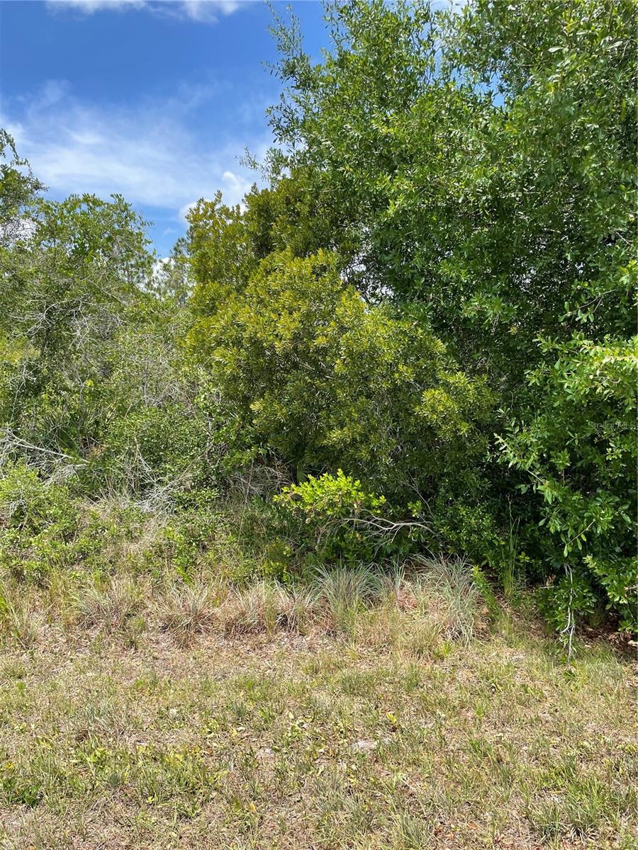 33514, 33522,33528 WASHINGTON LOOP RD, PUNTA GORDA, FL, 33982