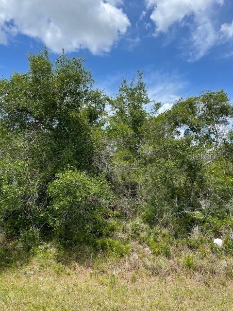 33514, 33522,33528 WASHINGTON LOOP RD, PUNTA GORDA, FL, 33982