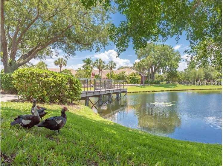 10263 GANDY BLVD N #501, ST PETERSBURG, FL, 33702
