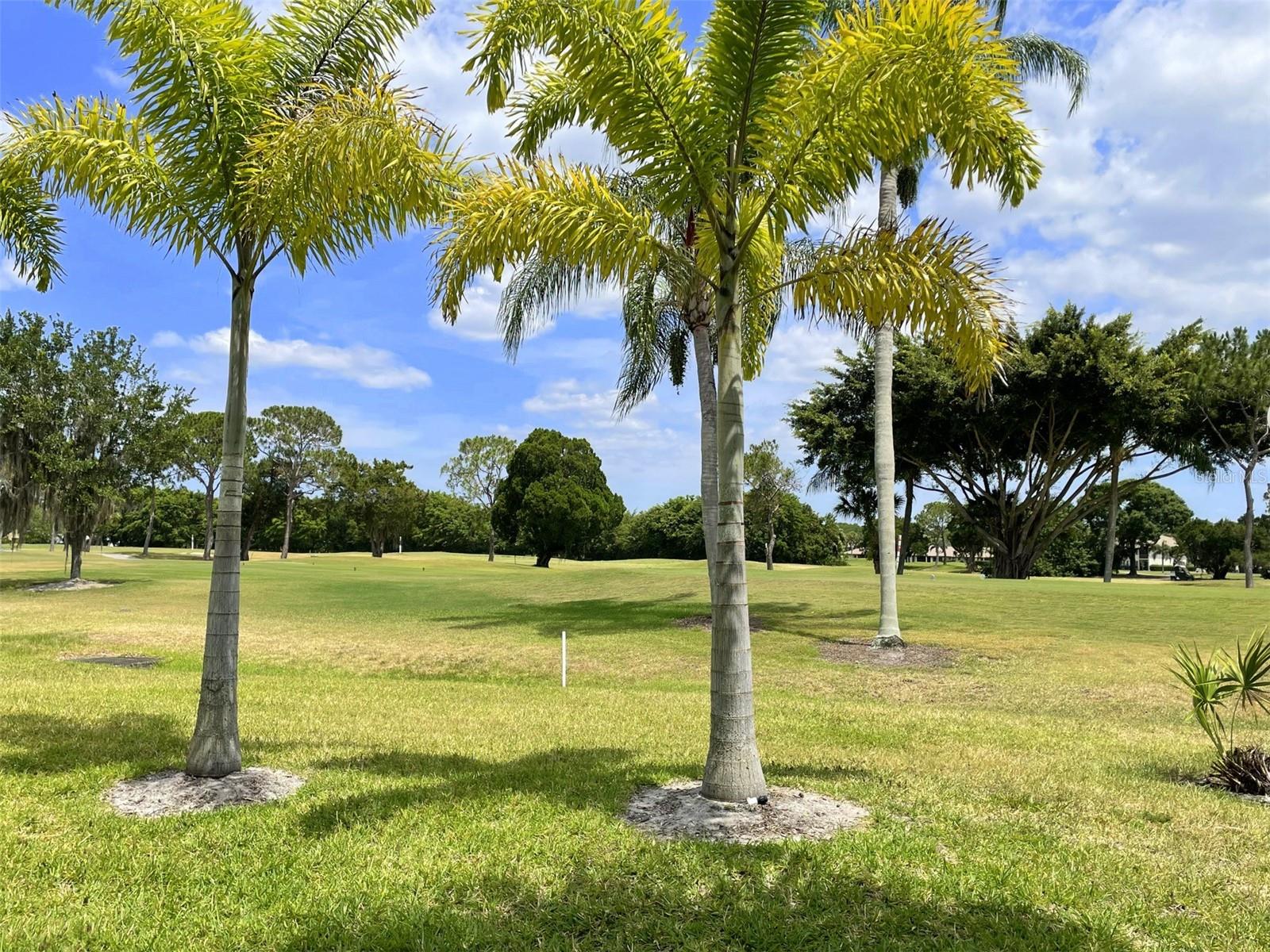 3543 LONGMEADOW #22, SARASOTA, FL, 34235