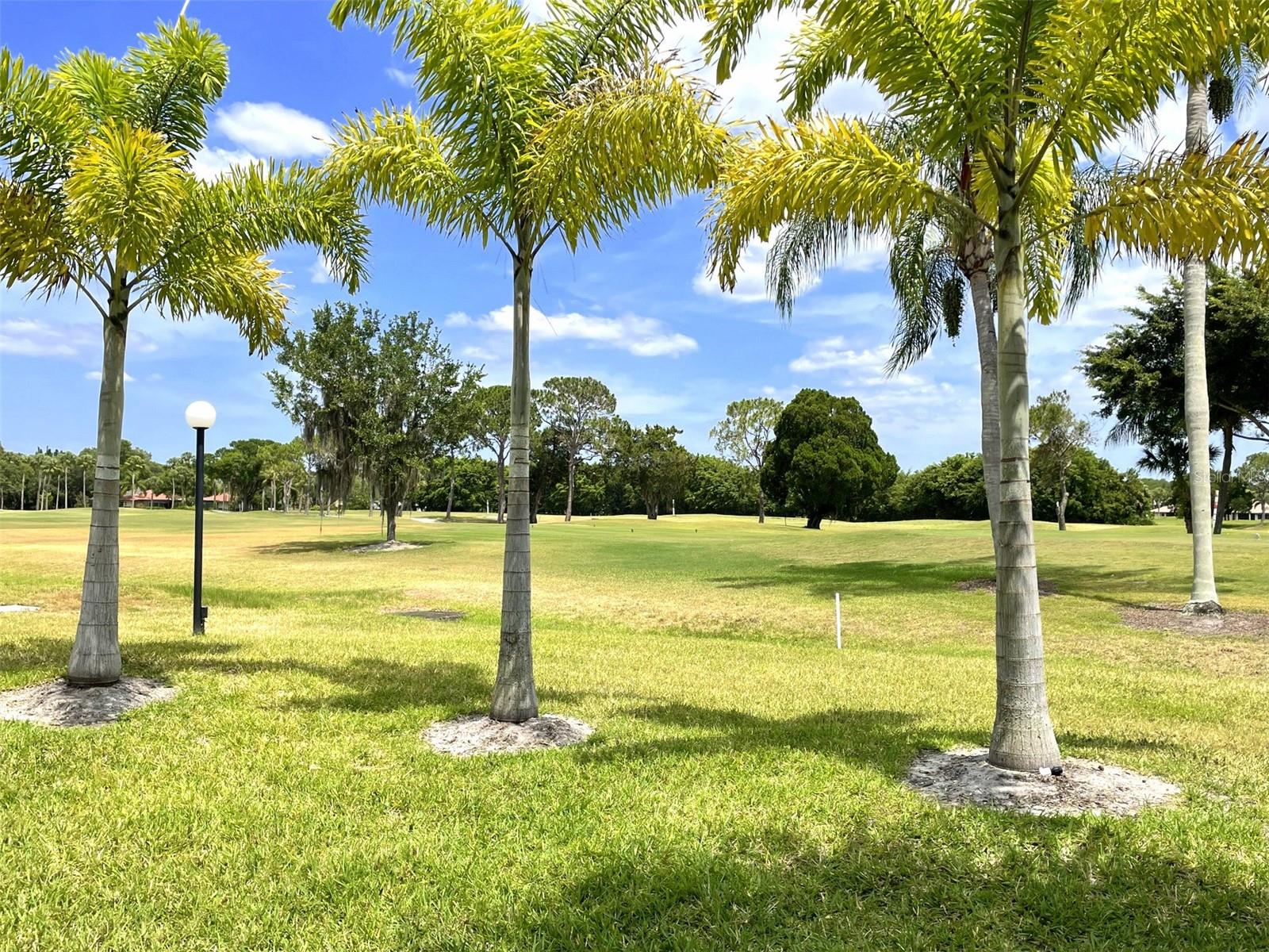 3543 LONGMEADOW #22, SARASOTA, FL, 34235