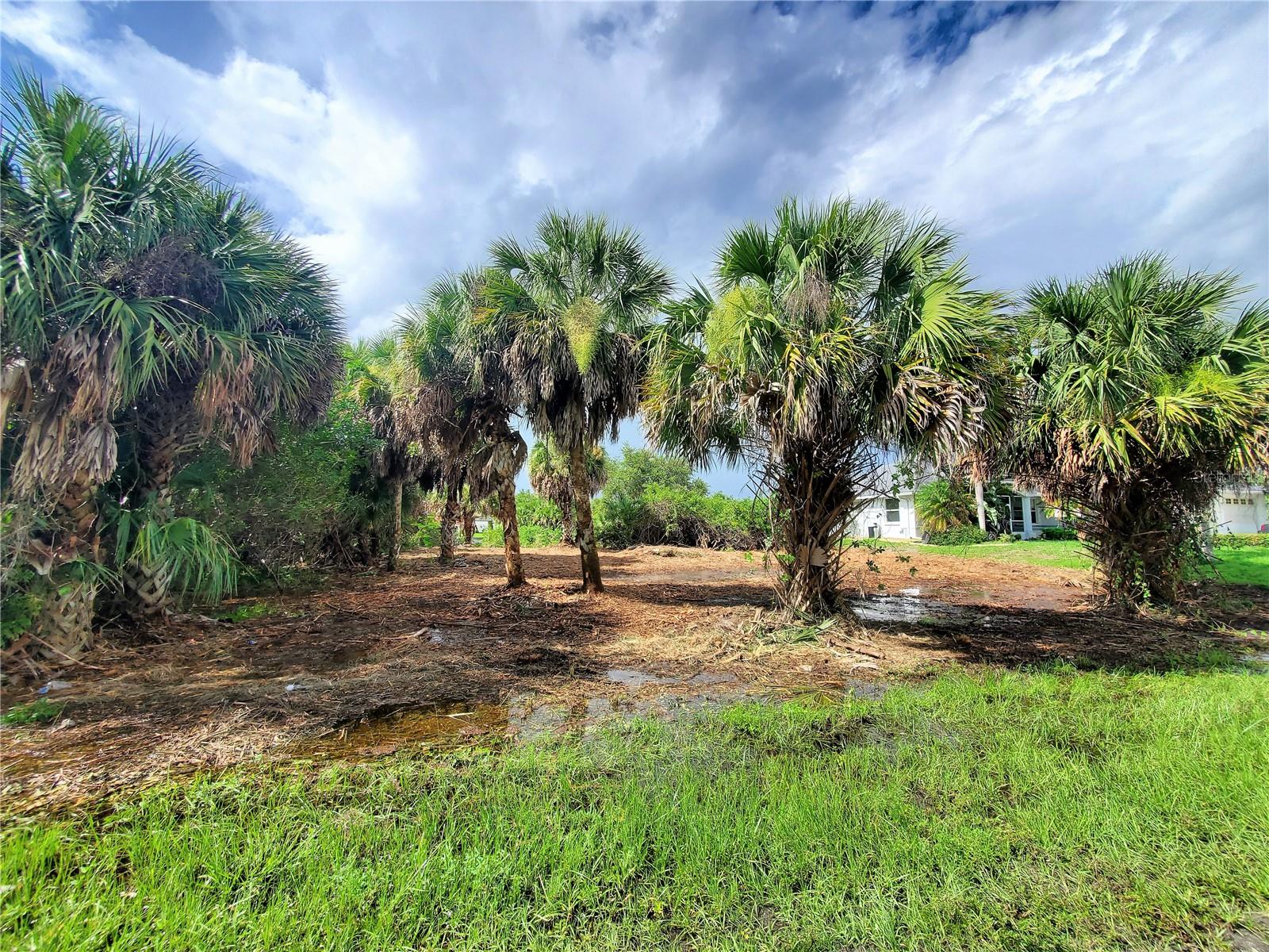 18037 OHARA DR, PORT CHARLOTTE, FL, 33948