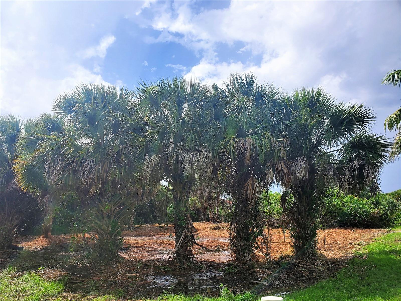 18037 OHARA DR, PORT CHARLOTTE, FL, 33948