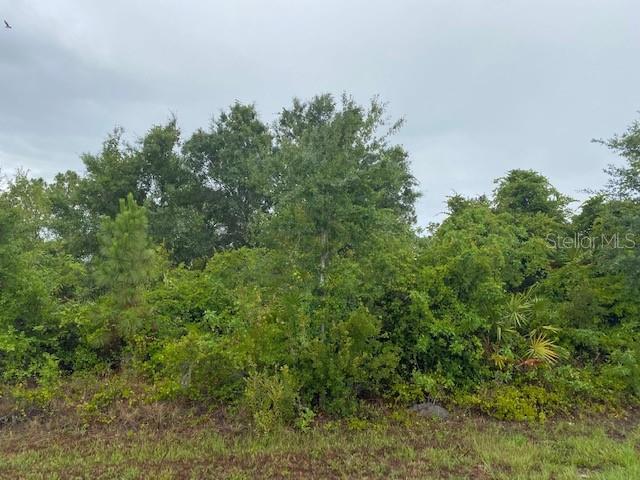 13425 TRASCORO LN, PORT CHARLOTTE, FL, 33981