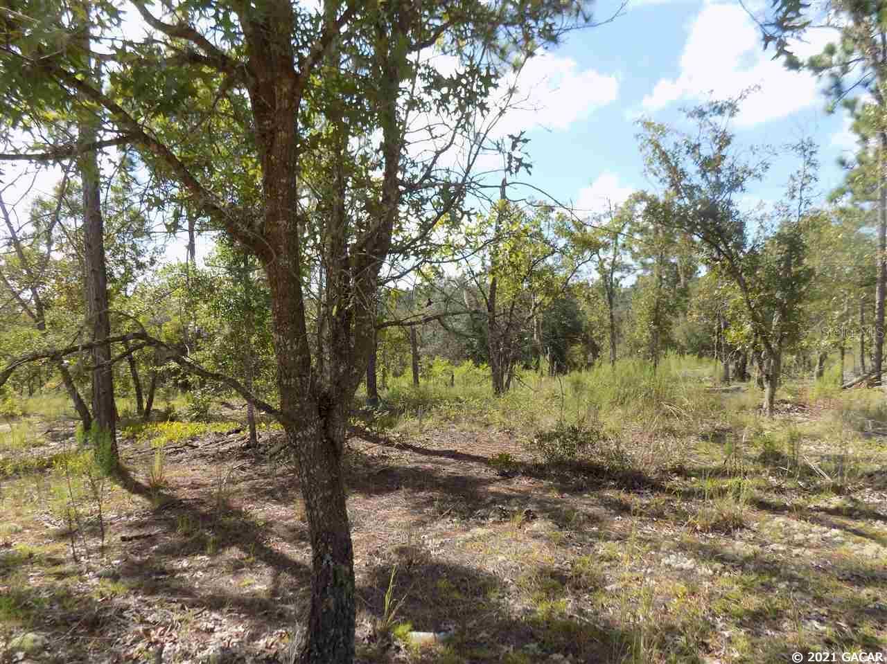 000 LINCOLN CENTER RD, HAWTHORNE, FL, 32640