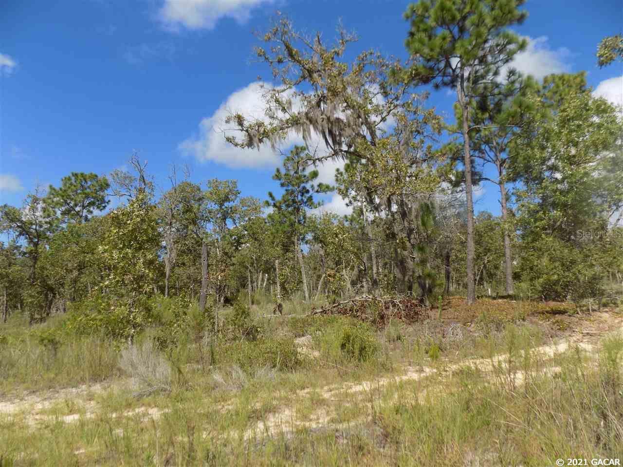000 LINCOLN CENTER RD, HAWTHORNE, FL, 32640