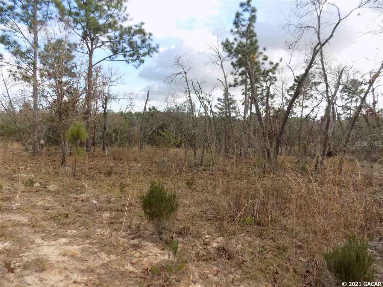 000 LINCOLN CENTER RD, HAWTHORNE, FL, 32640
