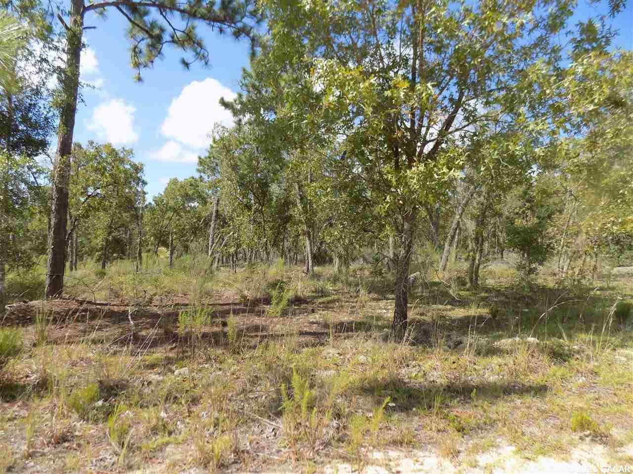 000 LINCOLN CENTER RD, HAWTHORNE, FL, 32640