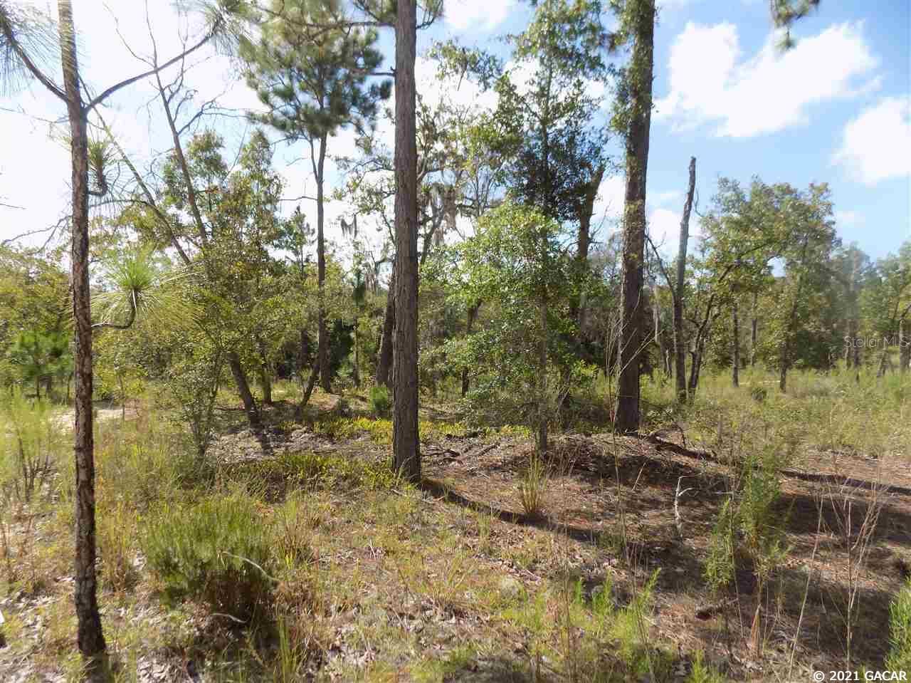 000 LINCOLN CENTER RD, HAWTHORNE, FL, 32640