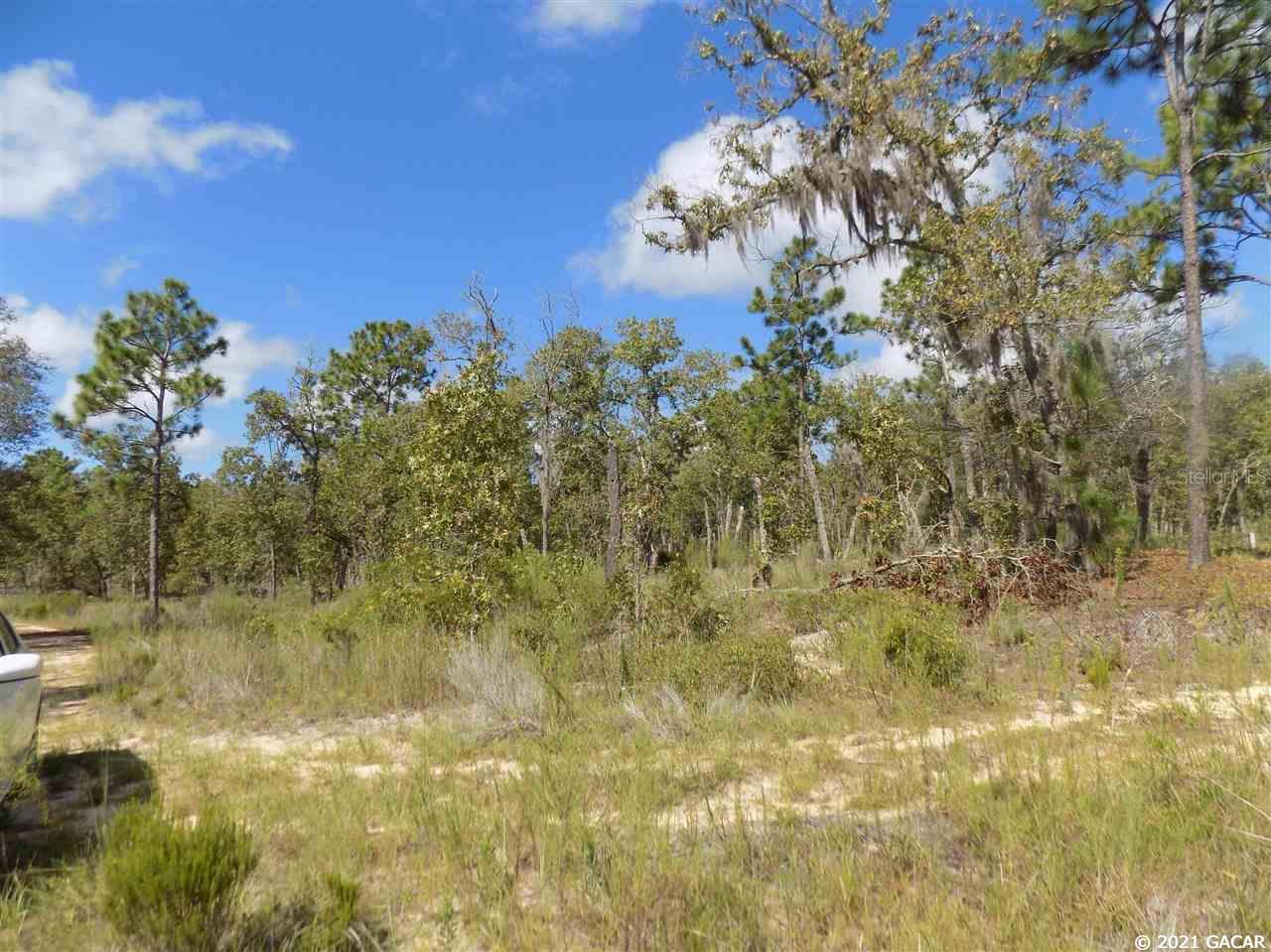 000 LINCOLN CENTER RD, HAWTHORNE, FL, 32640