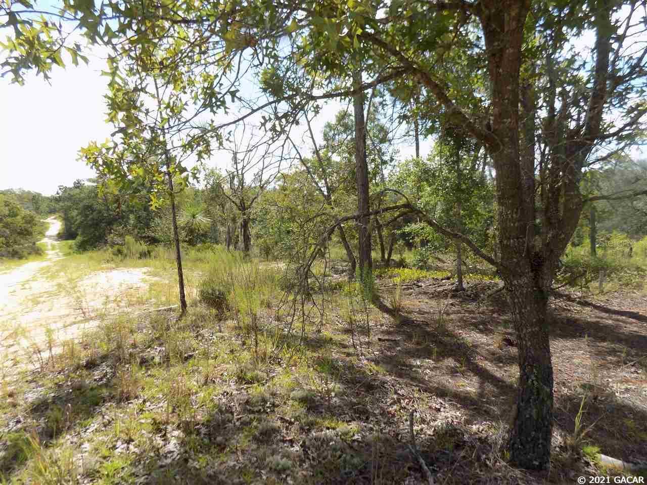 000 LINCOLN CENTER RD, HAWTHORNE, FL, 32640