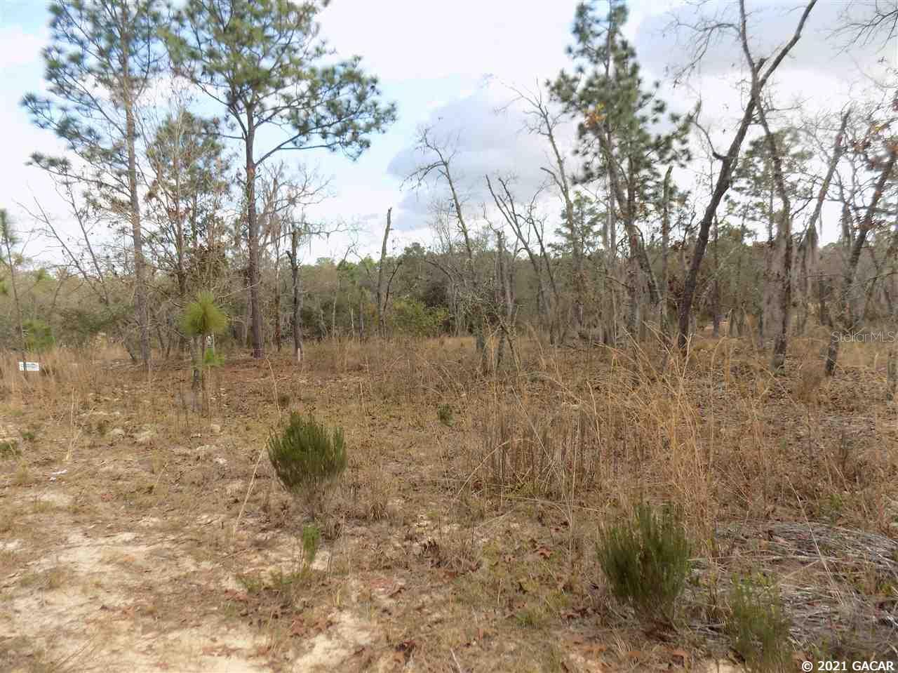 000 LINCOLN CENTER RD, HAWTHORNE, FL, 32640
