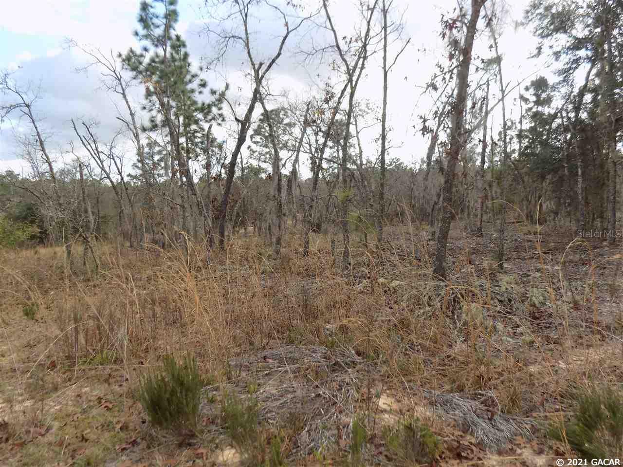 000 LINCOLN CENTER RD, HAWTHORNE, FL, 32640