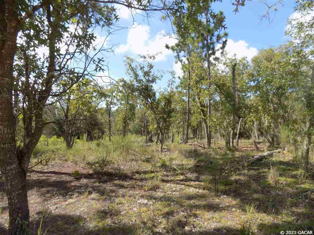 000 LINCOLN CENTER RD, HAWTHORNE, FL, 32640