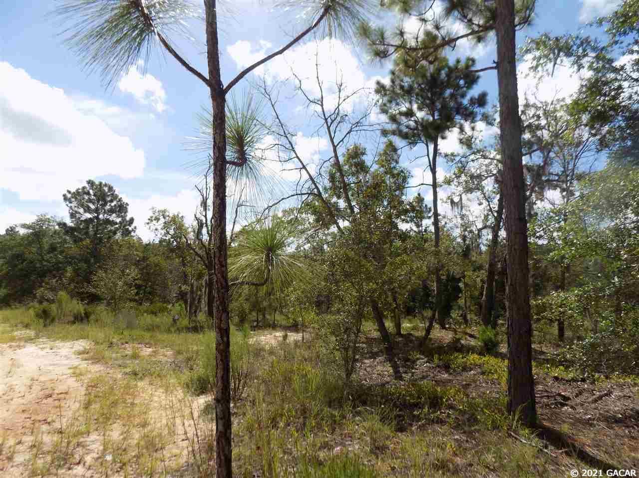 000 LINCOLN CENTER RD, HAWTHORNE, FL, 32640