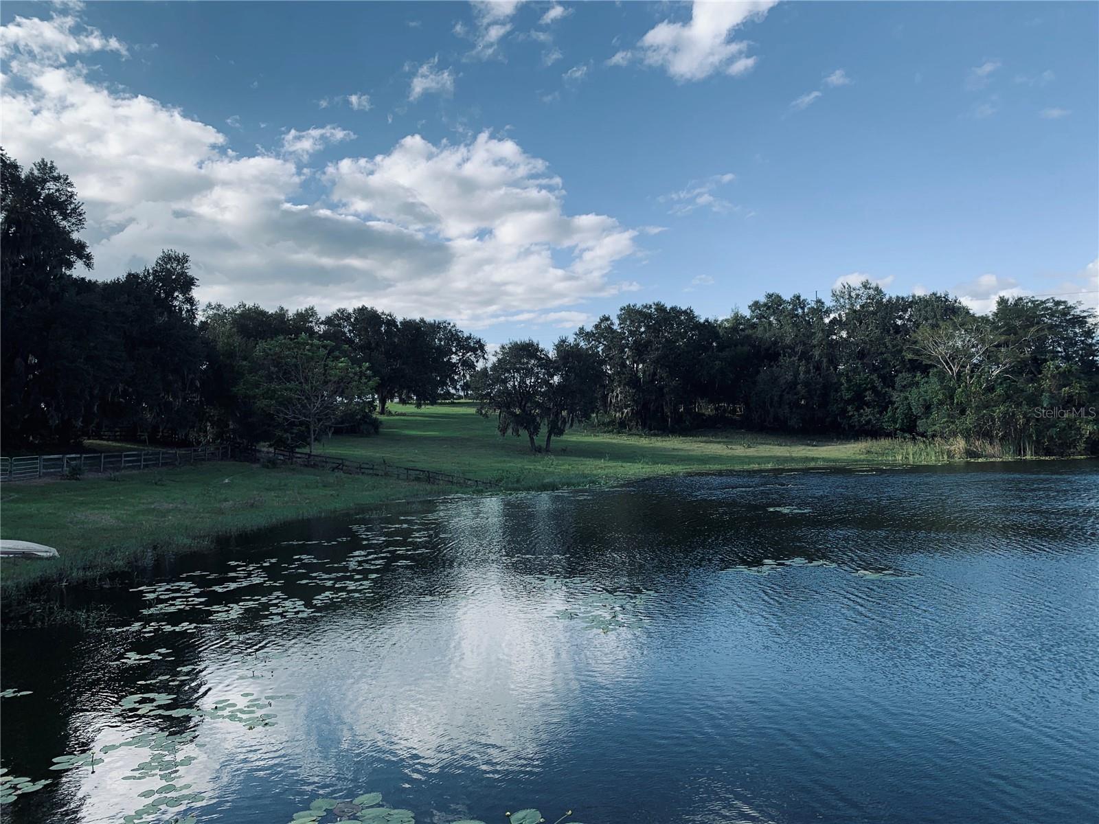TBD LAKE BURNS RD, UMATILLA, FL, 32784