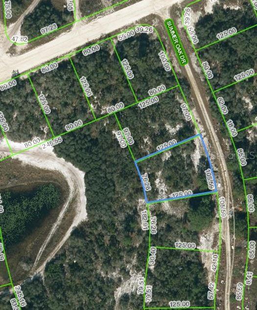 130 SUMMER OAK CT, LAKE PLACID, FL, 33852