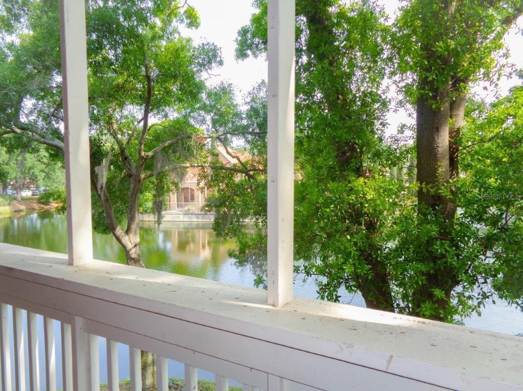 10200 GANDY BLVD #1229, ST PETERSBURG, FL, 33702