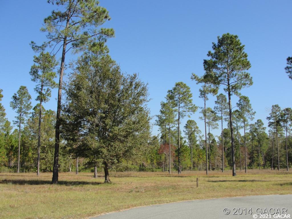 TBD SE 64TH LOT#15 ST, LAKE BUTLER, FL, 32054