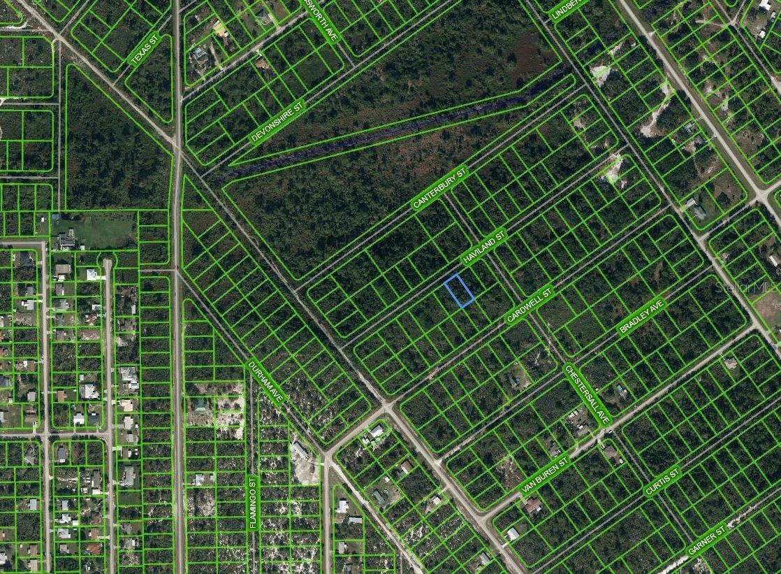 1213 HAVILAND ST, LAKE PLACID, FL, 33852