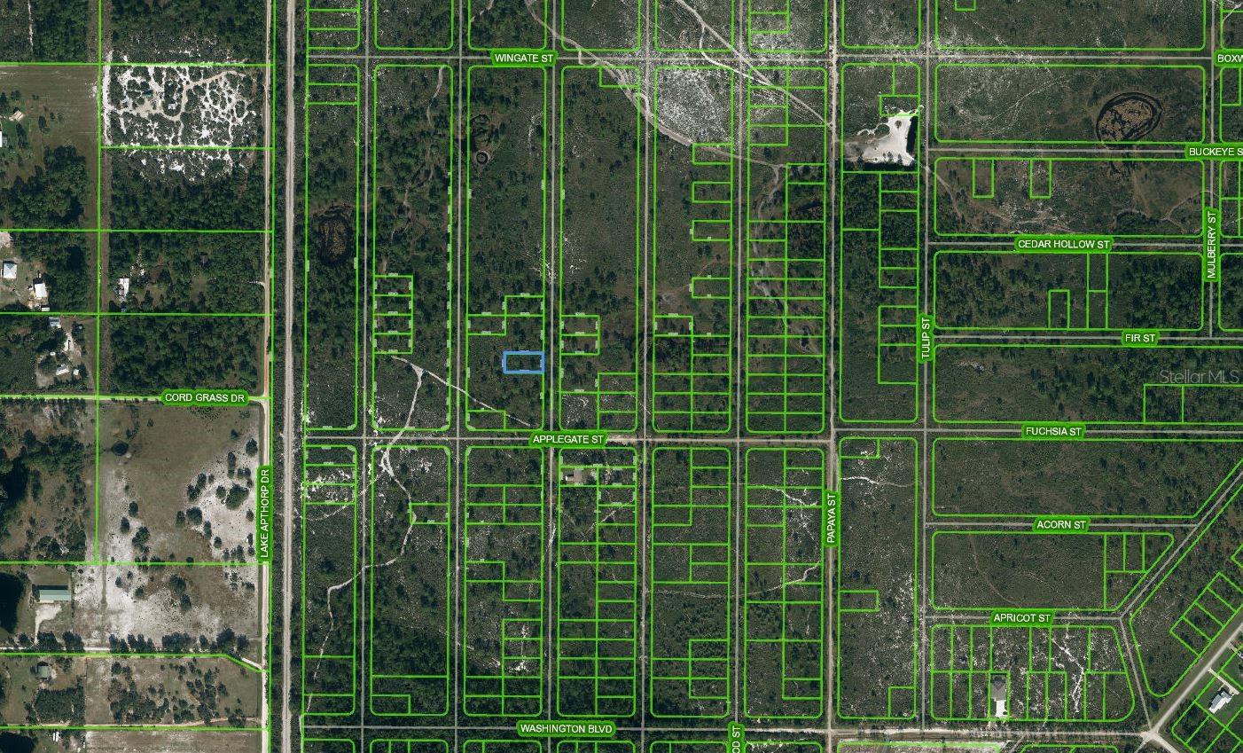 866 SCARLET OAK ST, LAKE PLACID, FL, 33852