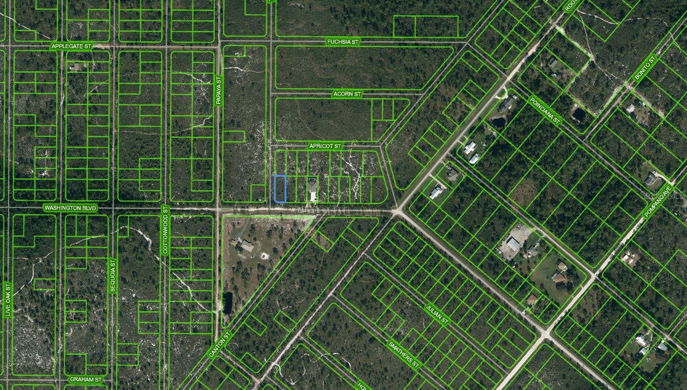 769 WASHINGTON BLVD, LAKE PLACID, FL, 33852
