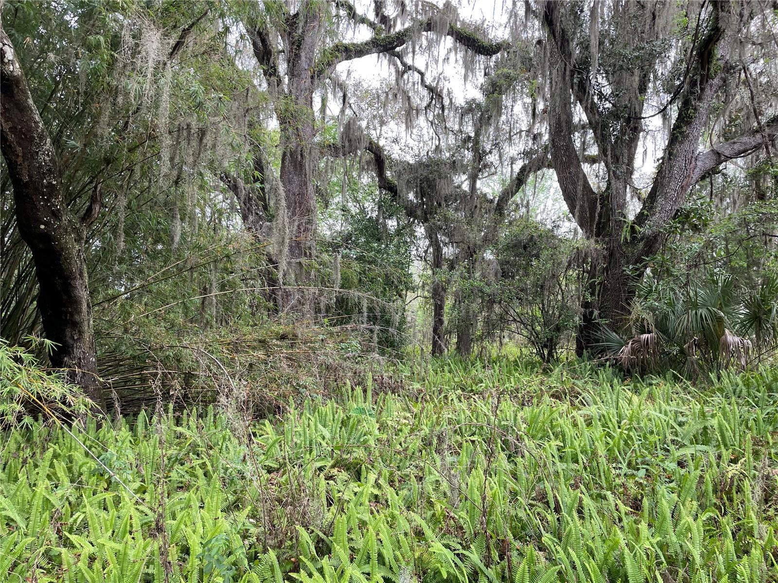7419 BUCK HOPE RD, BROOKSVILLE, FL, 34601