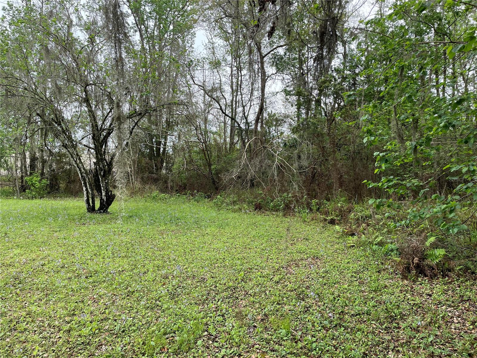 7419 BUCK HOPE RD, BROOKSVILLE, FL, 34601