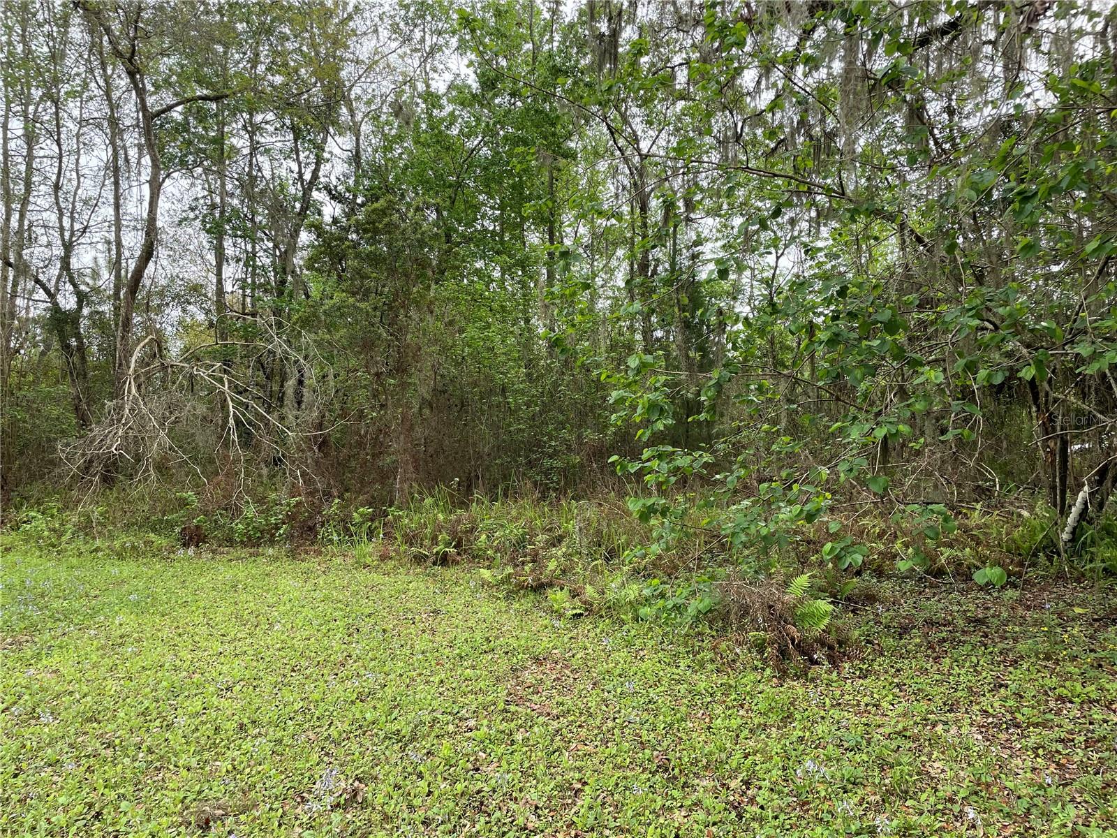 7419 BUCK HOPE RD, BROOKSVILLE, FL, 34601