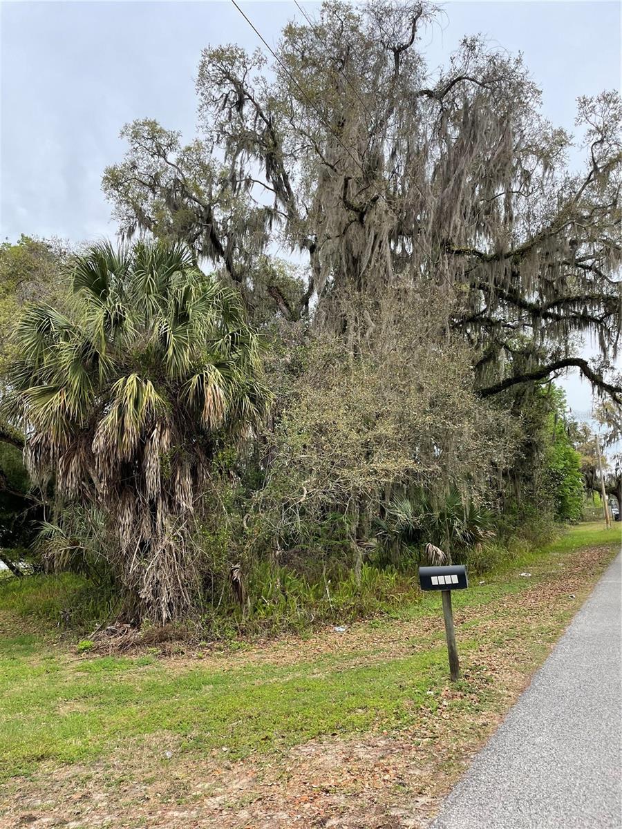 7419 BUCK HOPE RD, BROOKSVILLE, FL, 34601