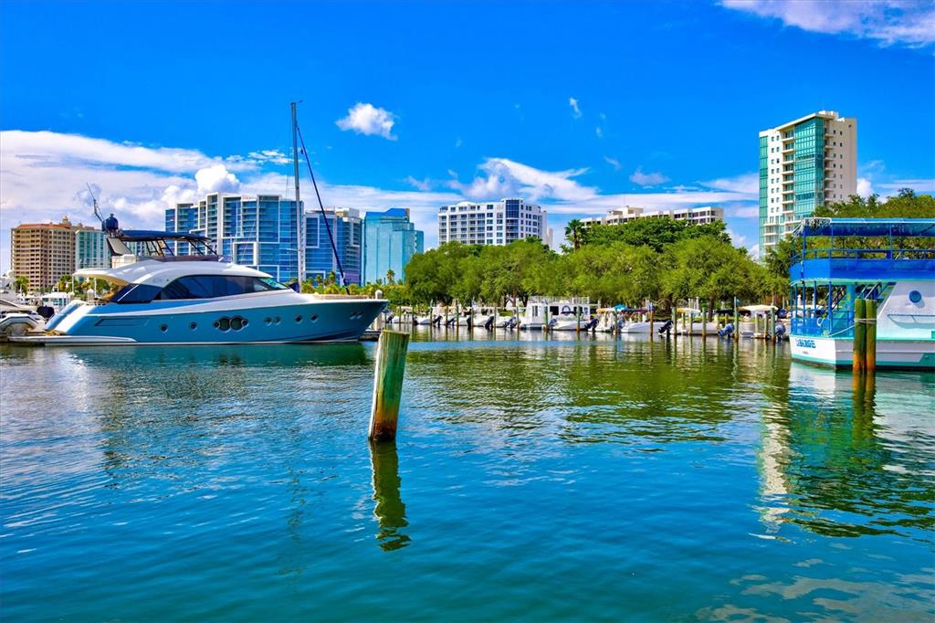 1019 SNEAD AVE, SARASOTA, FL, 34237