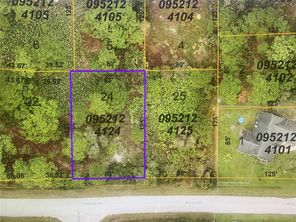 LOT 24 CAMMER AVE, NORTH PORT, FL, 34291