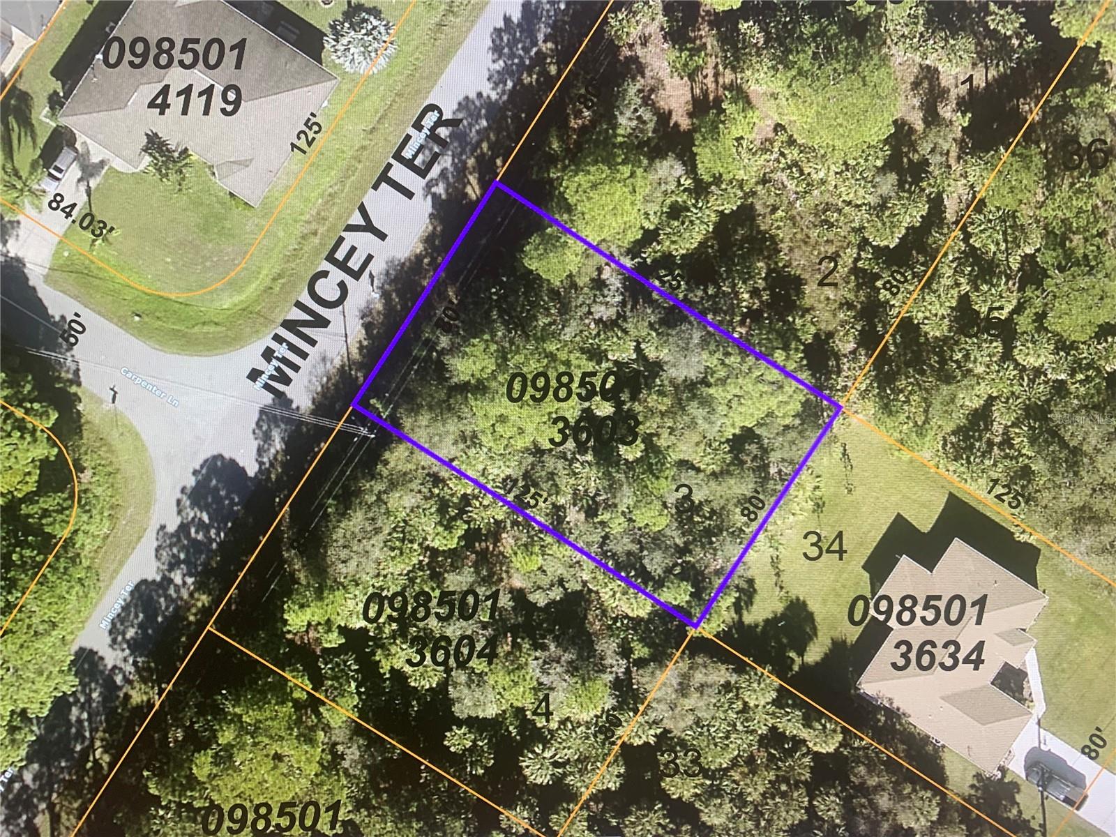 LOT 3 MINCEY TER, NORTH PORT, FL, 34286