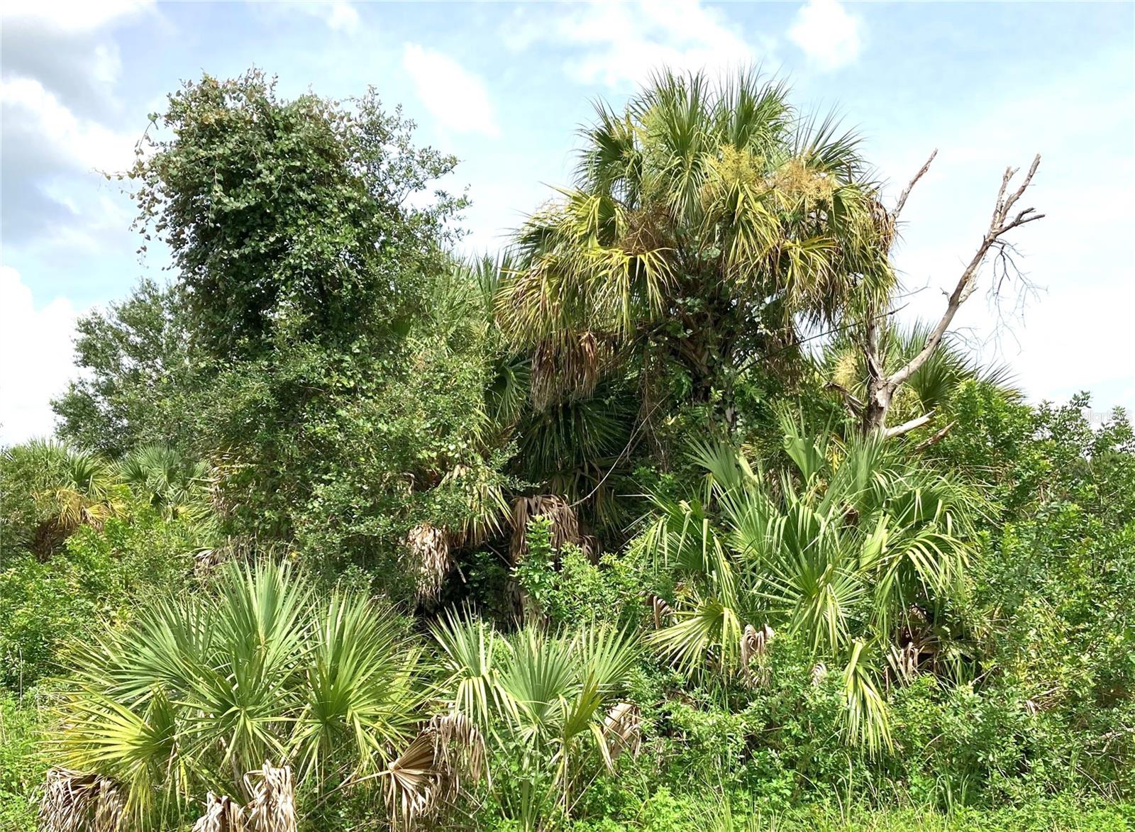 FIVELEAF RD, NORTH PORT, FL, 34288