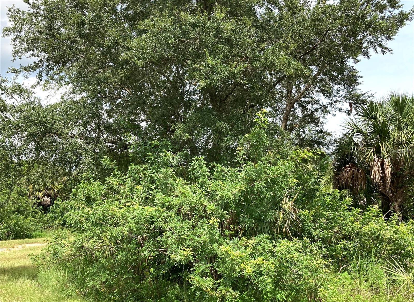 KIMBERLY DR, NORTH PORT, FL, 34288