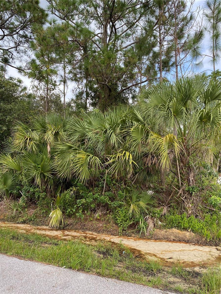 LACOCO ST, NORTH PORT, FL, 34291
